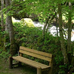 Banc forestier